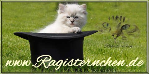 Unsere Banner zum mitnehmen